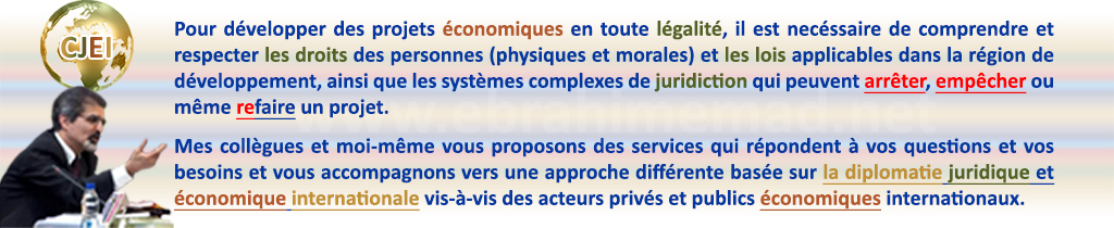 EMAD : le DJEI, les nouveaux conseiles juridiques et économiques