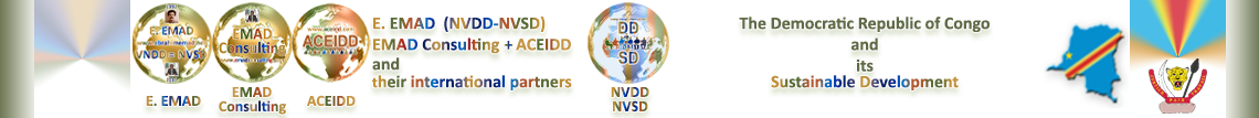 E. EMAD, the NVSD, the Democratic Republic of Congo and its Sustainable Development