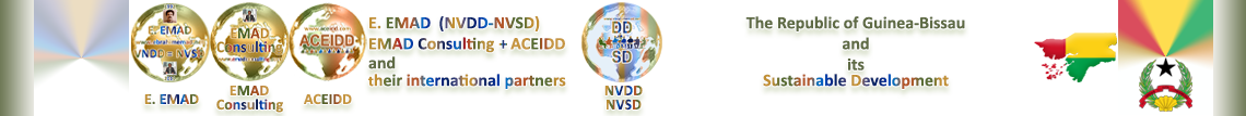 E. EMAD, the NVSD, the Republic of Guinea-Bissau and its Sustainable Development