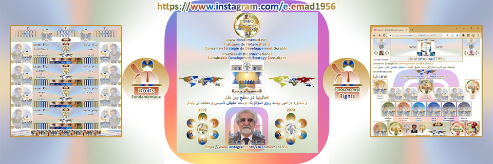 E. EMAD et Instagram