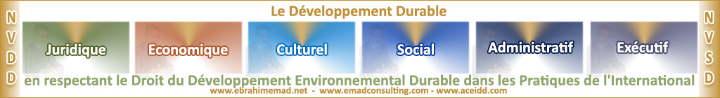 E. EMAD EMAD Consulting, ACEIDD, ACCEIDD, la NVDD basée sur l'Environnement