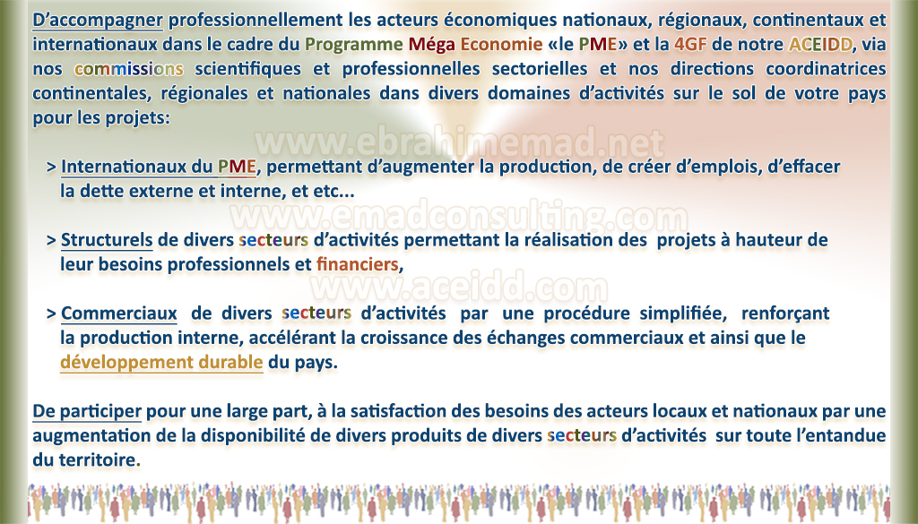 E. EMAD, EMAD Consulting, ACEIDD, nos partenairs internationaux et la NVDD en Afrique vers l'Espace Economique Africain 