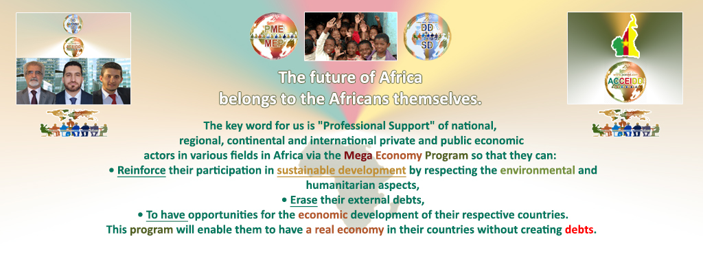 E. EMAD EMAD Consulting, ACEIDD, ACCEIDD et la R. du Cameroun