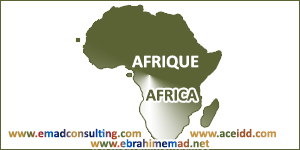 E.EMAD - EMADCONSULTING - ACEIDD - Afrique - Africa plan