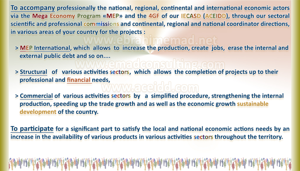 E. EMAD, EMAD Consulting, ACEIDD, Our international Partners and the NVSD,  our objectives in America towards the American Economic Space