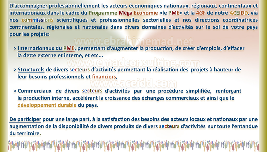 E. EMAD, EMAD Consulting, ACEIDD, nos partenairs internationaux et la NVDD et nos objectifs en Amerique vers l'Espace Economique Americain