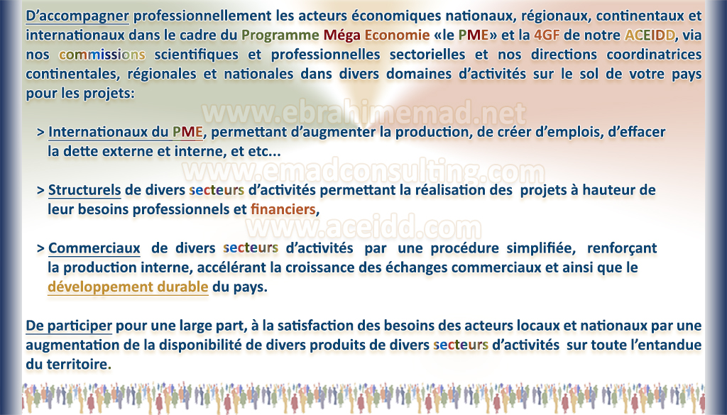E. EMAD, EMAD Consulting, ACEIDD, nos partenairs internationaux et la NVDD et nos objectifs en Océanie vers l'Espace Economique Oséanien