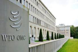 E. EMAD et l'OMC
