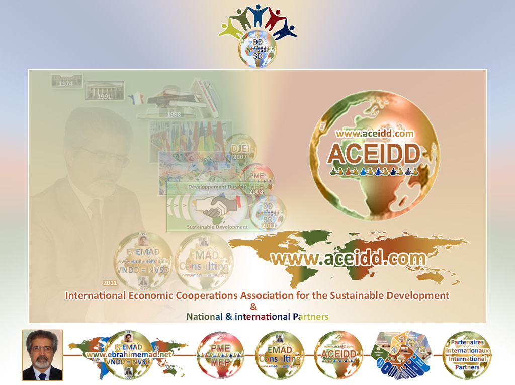 E. EMAD, EMAD Consulting, ACEIDD et le Programme Méga Economie