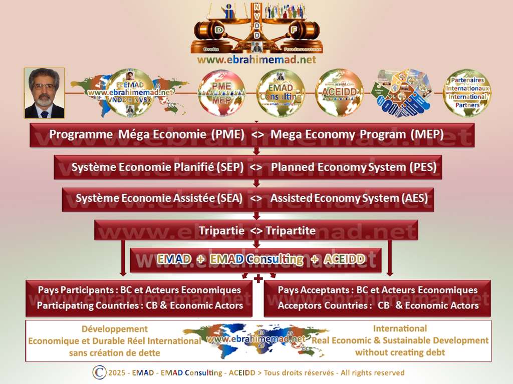E. EMAD, EMAD Consulting, ACEIDD et le Programme Méga Economie