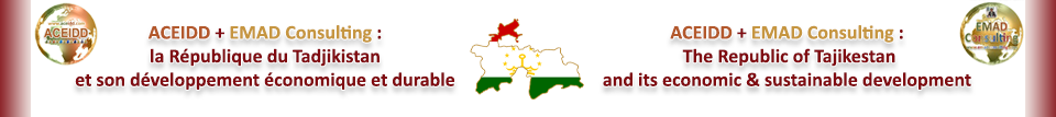 EMAD Consulting et la R. du Tadjikistan 